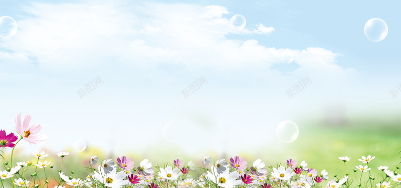 春夏背景盛开花菊花jpg设计背景_88icon https://88icon.com 春夏背景 盛开花 菊花背景图片免费下载海报banner 菊花背景图片 春季新品 卡通 海报banner 童趣 手绘