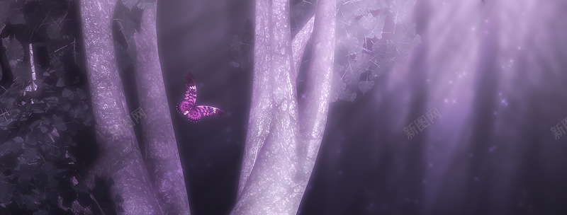 浪漫粉紫蝴蝶背景背景