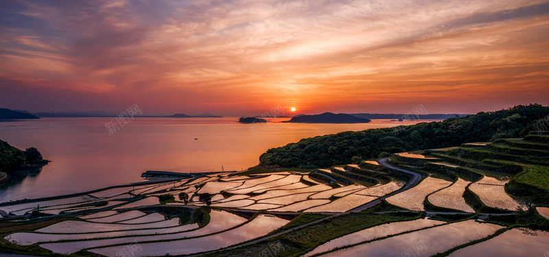 落日下梯田风光背景