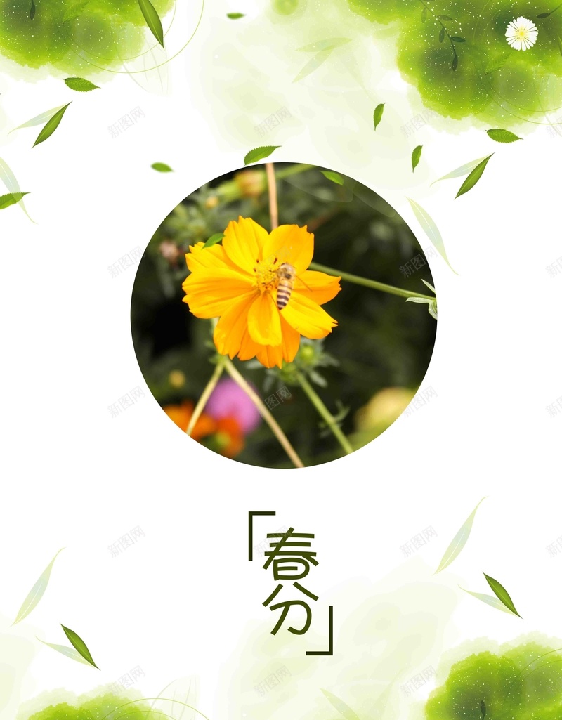 二十四节气春分节气海报psd_88icon https://88icon.com 二十四节气 春分海报 清明时节 春季 踏青 春分展板 24节气 春季海报