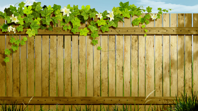 花藤与木栅栏春季海报背景素材背景