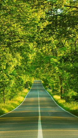 小绿植小清新公路绿植H5背景高清图片