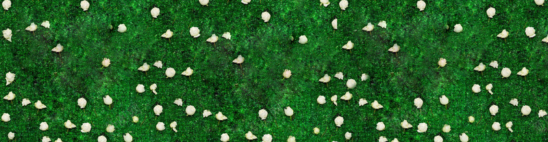 广告图淘宝女装bannerpsd设计背景_88icon https://88icon.com 广告图 淘宝女装banner 淘宝 天猫首页 海报banner 花墙 文艺 小清新 简约