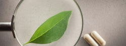 植物胶囊挂轴静物背景图高清图片