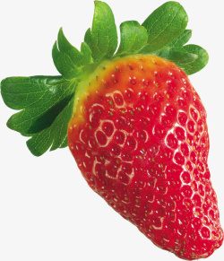 草莓水果素材png素材