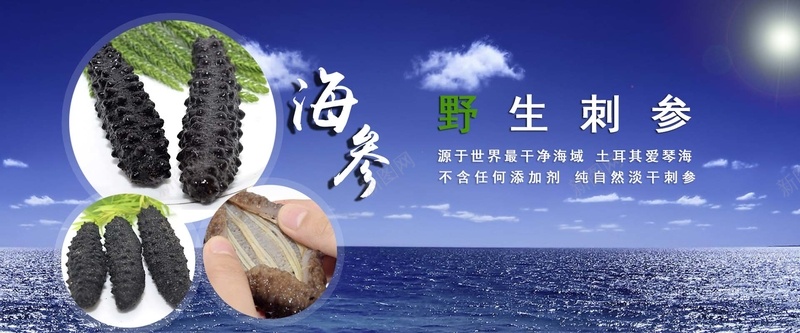 海参banner背景