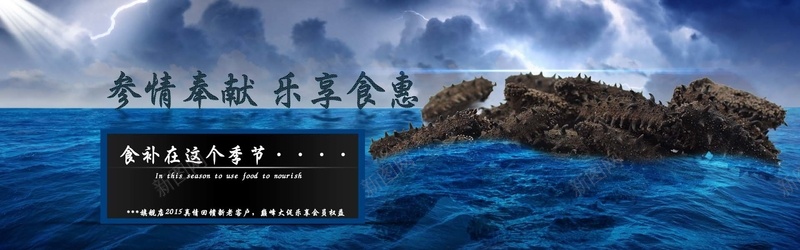 海参banner背景