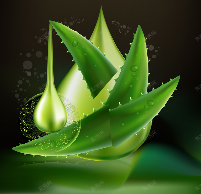 化妆品展架背景素材psd设计背景_88icon https://88icon.com 芦荟保湿 护肤品 纯天然 植物 简约 化妆品宣传展架 滋润 美白