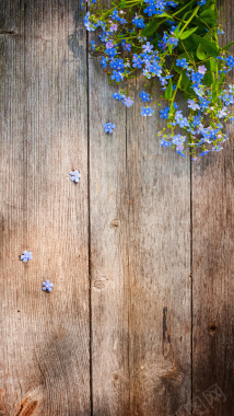 蓝色小花和木板H5背景背景