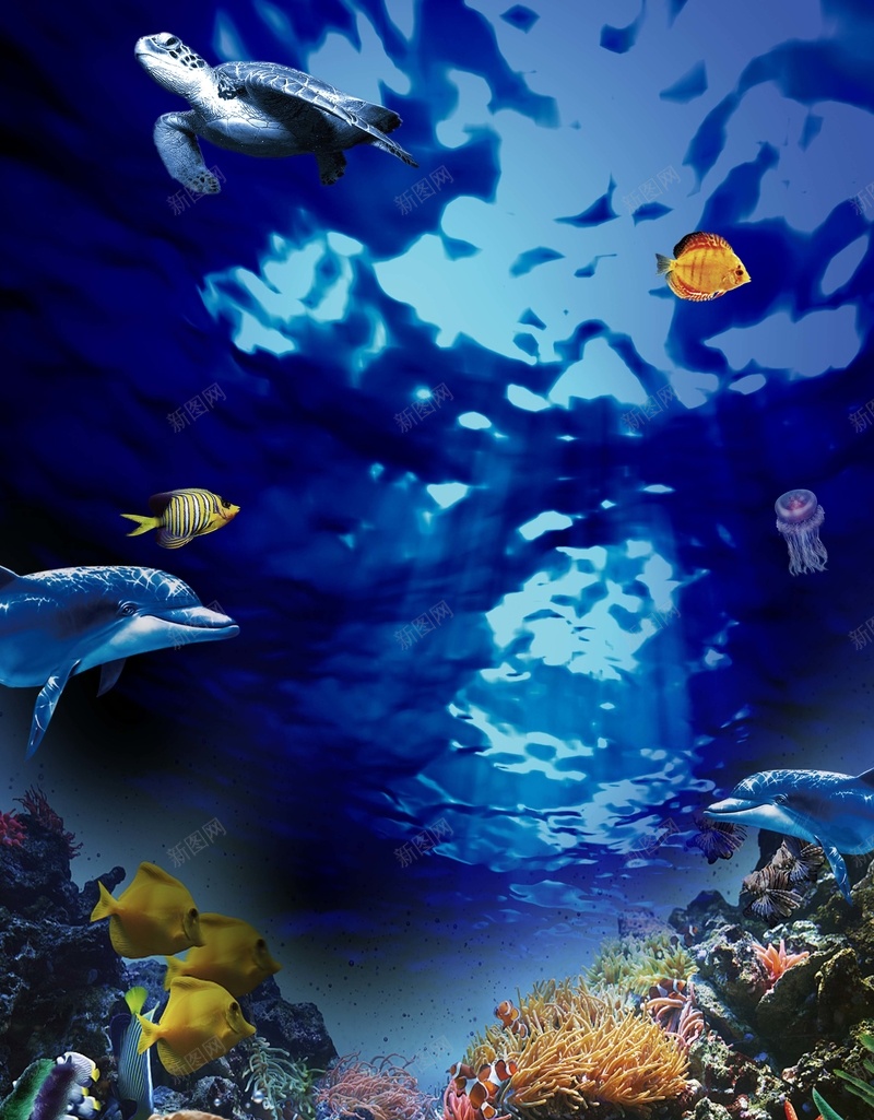 海洋公园海报背景素材jpg设计背景_88icon https://88icon.com 海洋公园 度假 海底世界 潜水 景点 海洋 海水 海上乐园 旅游