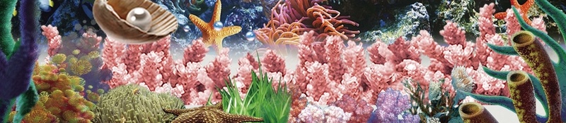 海洋公园海报背景素材jpg设计背景_88icon https://88icon.com 海洋公园 度假 海底世界 潜水 景点 海洋 海水 海上乐园 旅游