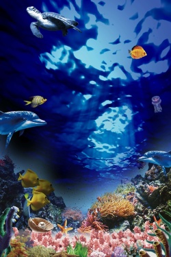 海上乐园海洋公园海报背景素材高清图片