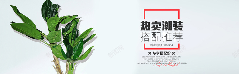 淘宝背景jpg设计背景_88icon https://88icon.com 夏装 女装 植物 灰色 热卖 海报banner