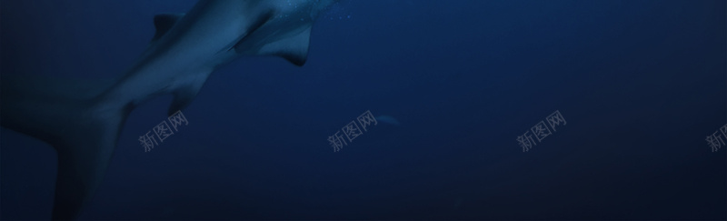 电影宣传POP广告psd设计背景_88icon https://88icon.com 企鹅 宣传 海洋 电影 鲨鱼 科技 科幻 商务