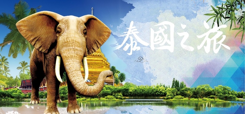 旅行激情绿色淘宝海报背景psd设计背景_88icon https://88icon.com 创意 海报 天猫 淘宝 旅游 大象 旅行 宣传 泰国旅游 旅行社 淘宝旅行 泰国景点 泰国之旅 开心