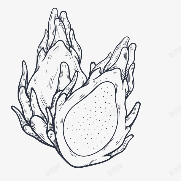 手绘的火龙果素材png免抠素材_88icon https://88icon.com 火龙果 食物 水果 装饰图 免抠图 装饰画 效果图