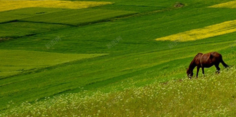 蓝天白云绿地风光手机端H5背景jpg设计背景_88icon https://88icon.com 白云 绿地 草原 蓝天 风光 牛 放牛 手机端 H5背景 白云背景 绿地背景 绿地蓝天 背景