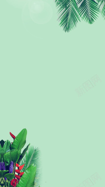 绿色天猫淘宝春季新品植物H5背景背景