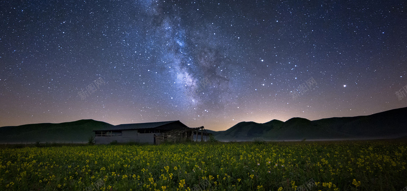 夜晚油菜花田背景图背景