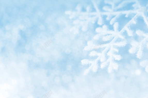 淡蓝色雪花背景背景