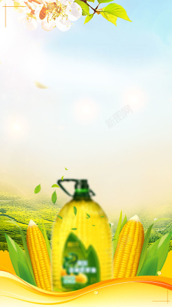 植物油海报新鲜玉米油食用油食材H5背景素材高清图片