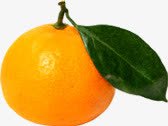 黄色水果橘子效果素材