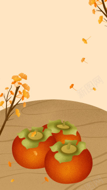 金秋十月黄色柿子成熟背景