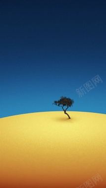 沙漠上的树H5背景背景