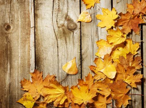 秋叶墙背景素材背景