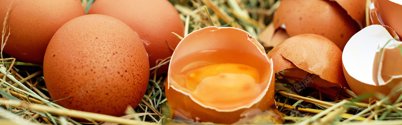 鸡蛋生鲜系列背景背景