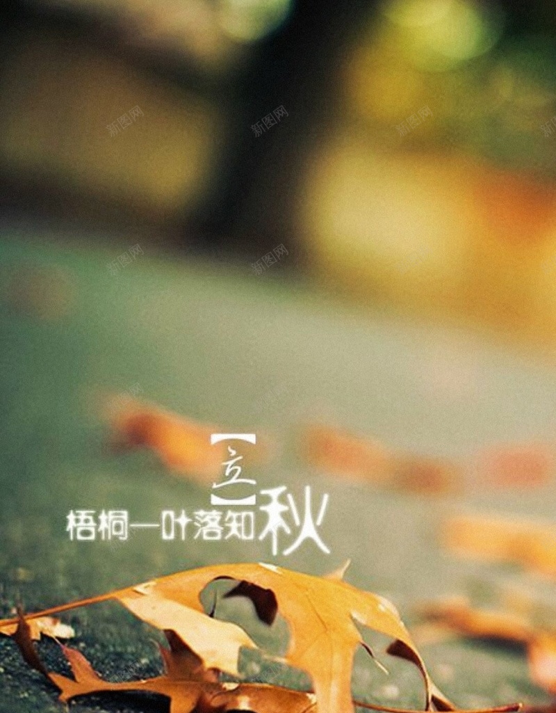 公路上的枫叶H5背景jpg设计背景_88icon https://88icon.com 文字控 立秋 节气 秋天 秋季 H5背景 公路 枫叶 H5 h5 文艺 小清新 简约