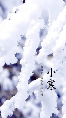 松树上的白雪H5素材背景背景