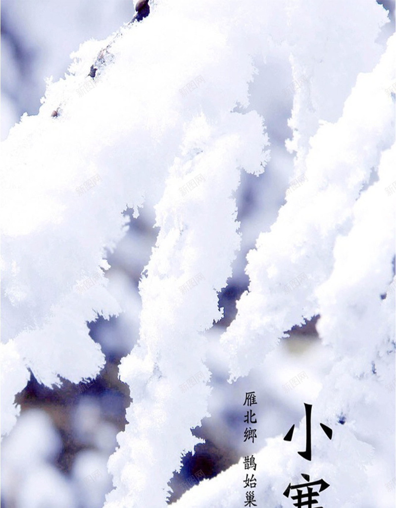 松树上的白雪H5素材背景jpg设计背景_88icon https://88icon.com 小寒 松树 白雪 节气 H5素材