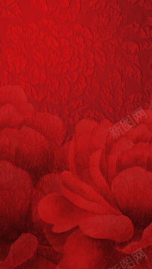 红色花卉底纹背景背景