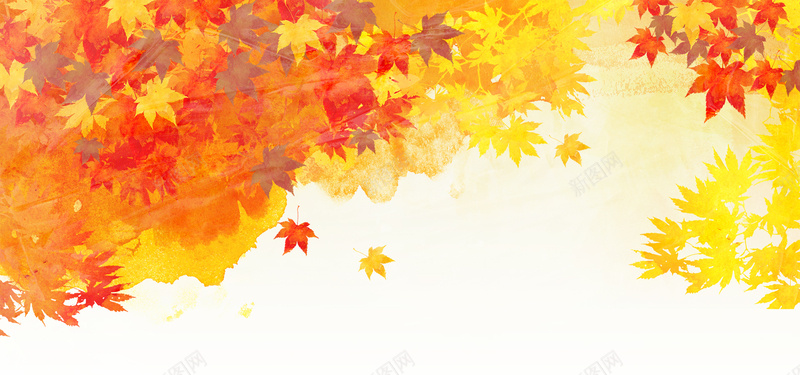 秋天枫叶背景背景