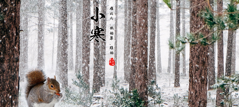 小寒节气中国风海报bannerpsd设计背景_88icon https://88icon.com 小寒 节气 中国风 海报 banner 平静