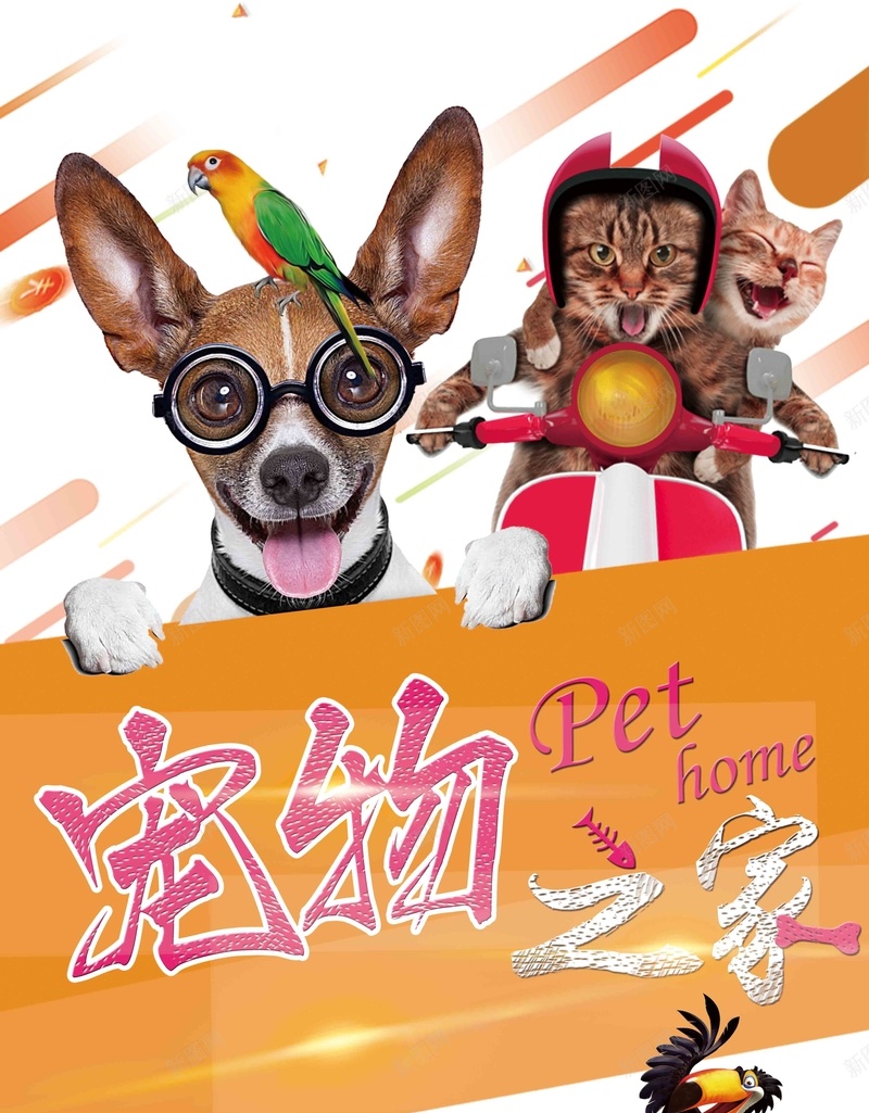宠物之家宠物店猫狗卡通海报psd设计背景_88icon https://88icon.com 宠物交易 宠物医院 宠物海报 宠物美容 宠物店 宠物买卖 宠物狗 宠物猫