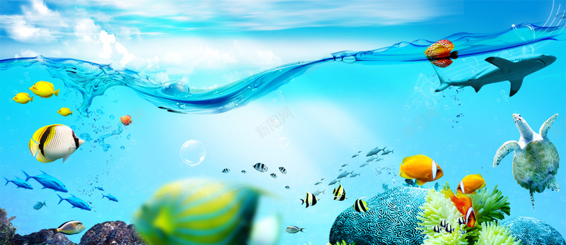 梦幻海底世界背景背景