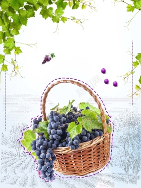 新鲜水果葡萄促销海报背景背景