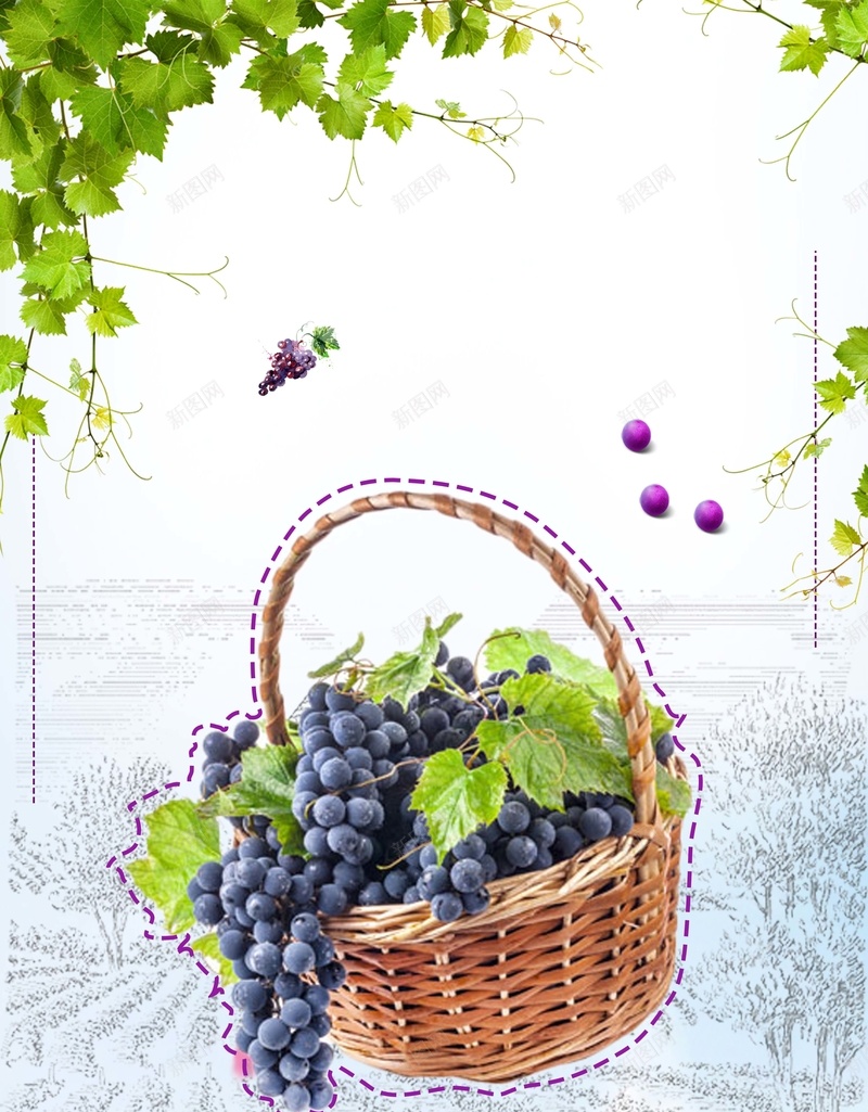 新鲜水果葡萄促销海报背景psd设计背景_88icon https://88icon.com 好味道 促销 新鲜 满减 葡萄 天然 水果 健康 夏季 紫色