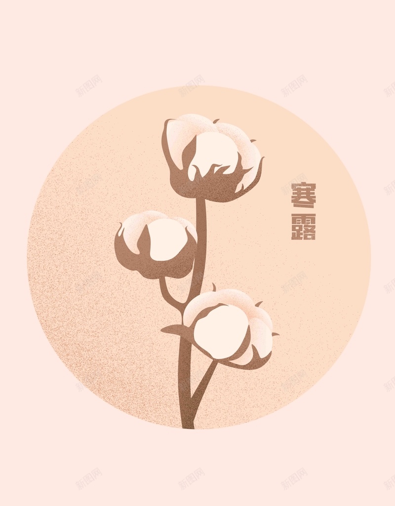 简约寒露棉花手绘jpg设计背景_88icon https://88icon.com 淡暖色 简约 寒露 节气 24节气 二十四节气 农历 手绘 传统节气