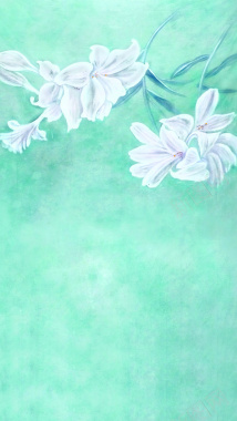 手绘小清新花卉H5背景图背景