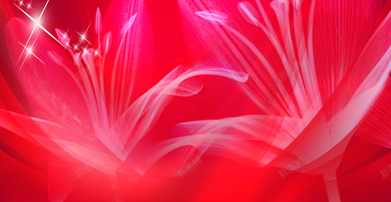 简洁花卉海报背景素材psd设计背景_88icon https://88icon.com 时尚 海报 背景 花卉 花 简洁 花卉素材
