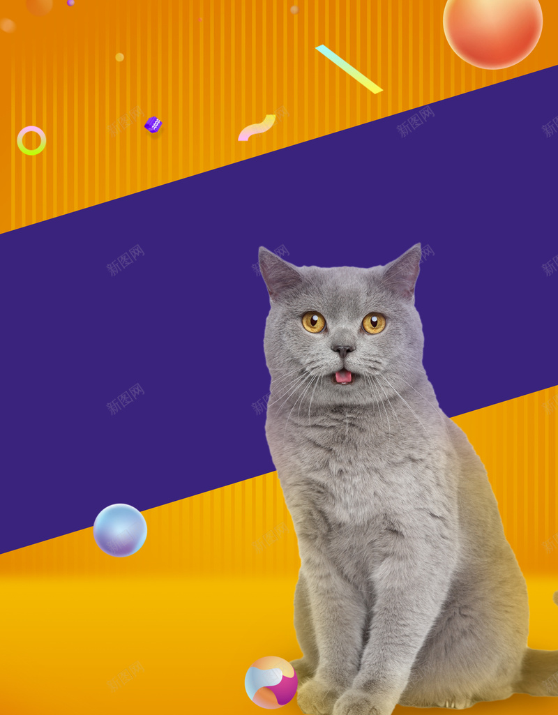 不玩猫腻秋季上新促销海报背景素材psd设计背景_88icon https://88icon.com 新品上市宣传 动物 服装 渐变 猫 新款 商场促销 超市促销 夏季清仓 全场5折 折扣