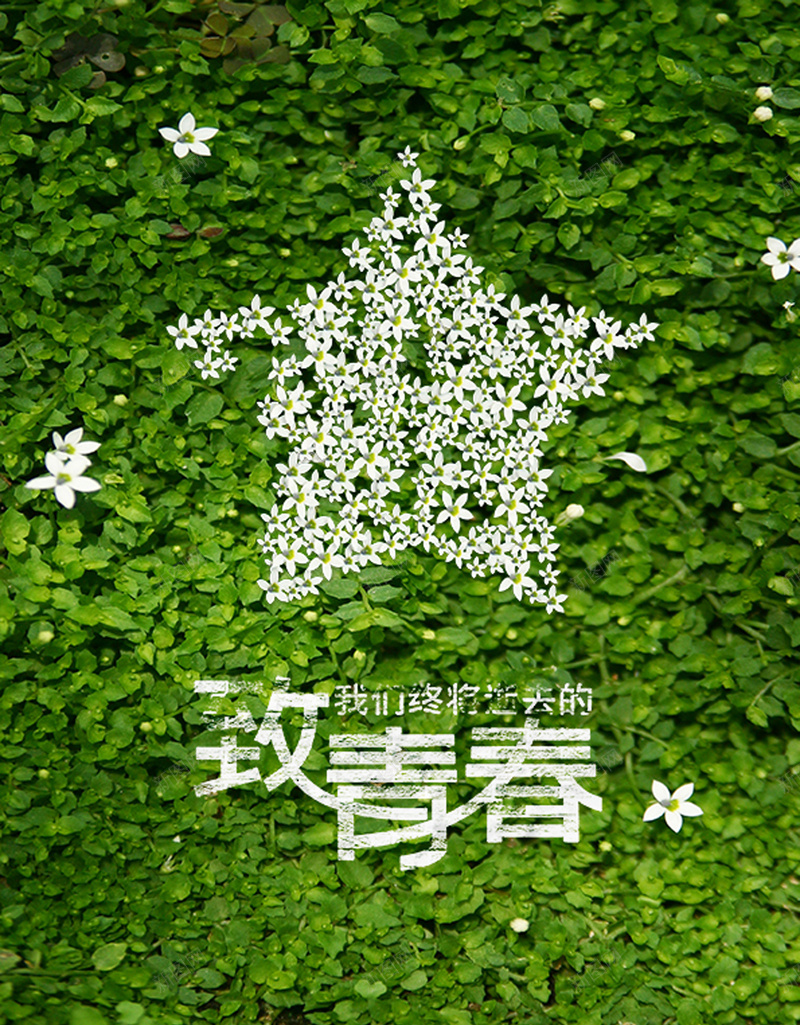 致青春海报jpg设计背景_88icon https://88icon.com 致青春 海报 绿色 墙草 质感 纹理