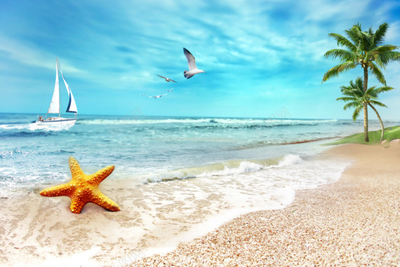 椰树船海鸥海星背景