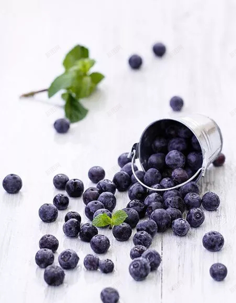 蓝莓宣传海报设计psd设计背景_88icon https://88icon.com 丰收 夏季 水果 清凉 蓝莓 蓝色 浅调 宣传