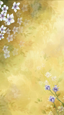 黄色花朵花卉背景背景