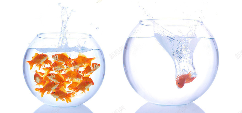 两个鱼缸背景jpg设计背景_88icon https://88icon.com 海报banner 玻璃 金鱼 鱼缸 水