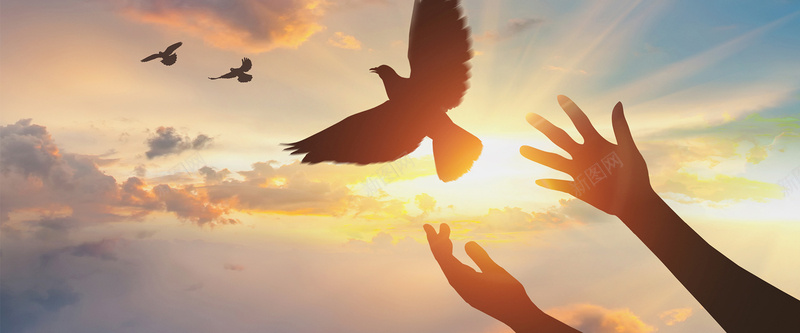 放飞梦想蓝色清新蓝天梦想双手bannerjpg设计背景_88icon https://88icon.com 放飞 梦想 清新 蓝天 蓝色 双手 梦想banner